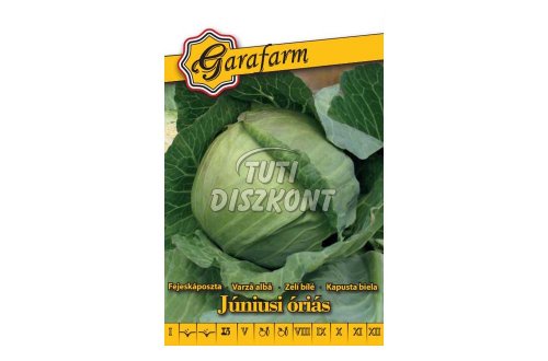 Garafarm júniusi óriás fejeskáposzta K, 1.5 G