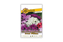 Garafarm sweet william törökszegfű P, 0.2 G