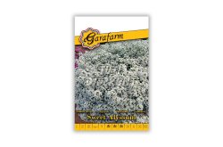 Garafarm Sweet Alyssum illatos ternye fehér K, 0.5 G