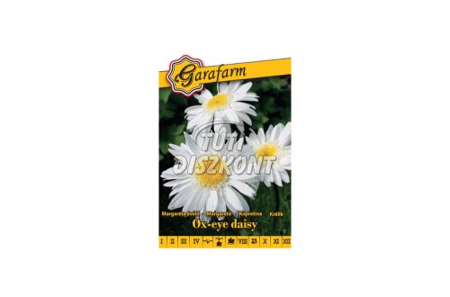 Garafarm évelő fehér margaréta maikönig/ox-eye daisy K, 0.5 G