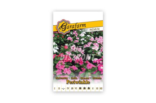 Garafarm periwinkle rózsás meténg virág mag P, 0.2 G