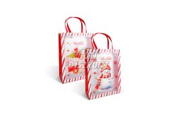 Karácsonyi ajándéktáska 32x25x11cm 2féle(59726), 1 db